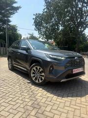 Toyota RAV4 2024 Silver for sale