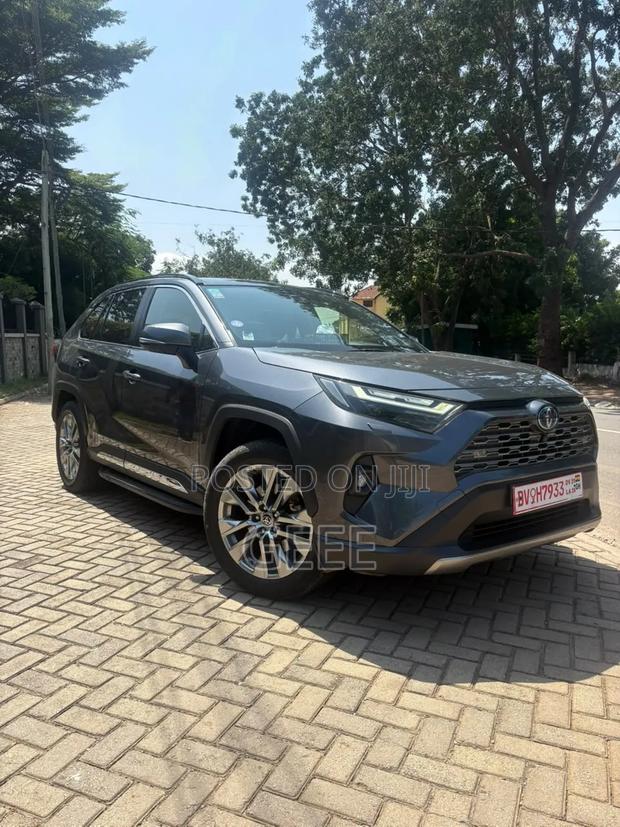 Toyota RAV4 2024 Silver