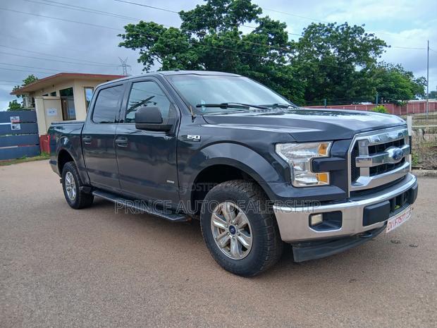 Ford F-150 2017 Gray