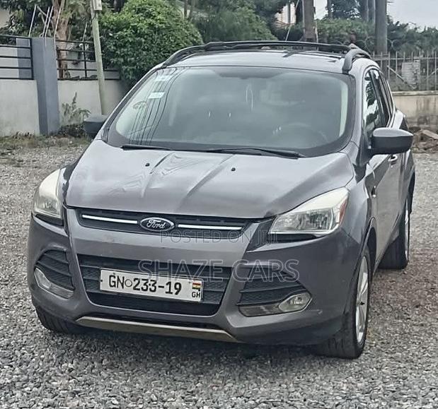 Ford Escape SE 2013 Gray