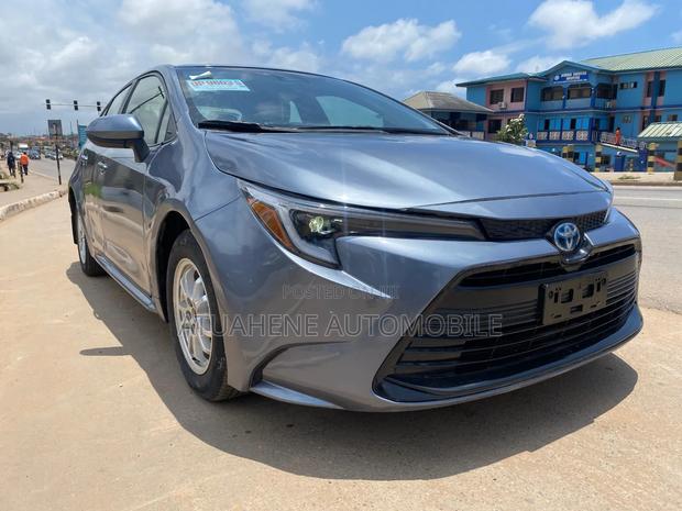 Toyota Corolla LE 2024 Gray