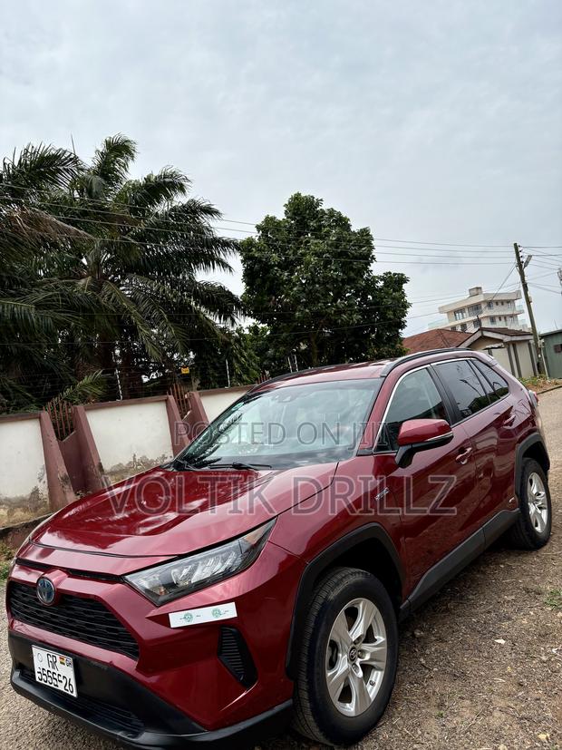 Toyota RAV4 LE AWD 2019 Red