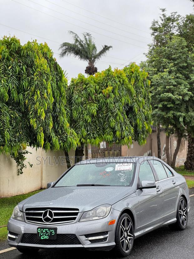 Mercedes-Benz C250 2014 Gray