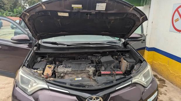 Toyota RAV4 XLE AWD (2.5L 4cyl 6A) 2017 Burgundy