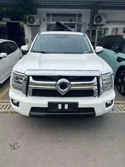 Great Wall Pao 2023 White for sale