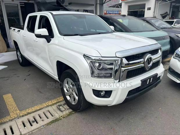 Great Wall Pao 2023 White