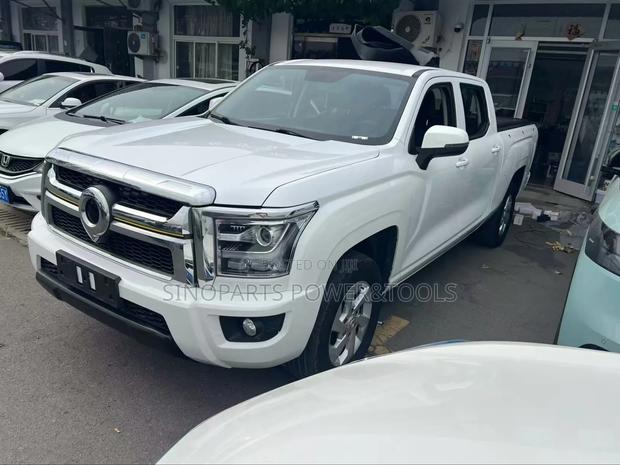 Great Wall Pao 2023 White