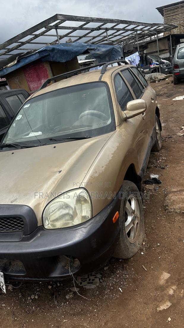 Hyundai Santa Fe 3.5 2003 Gold