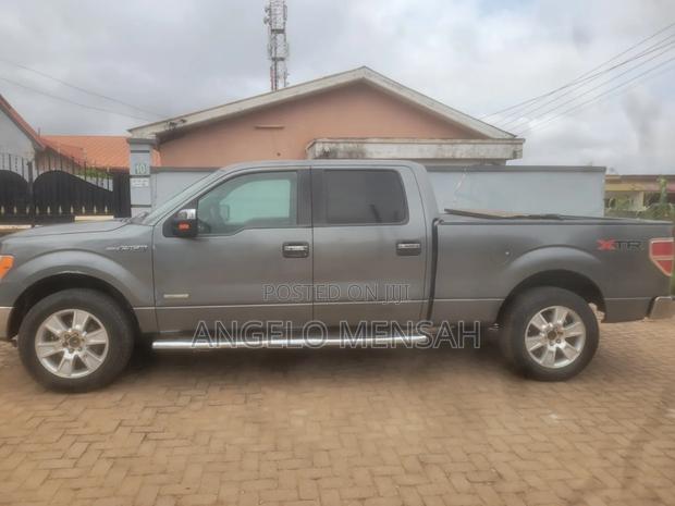 Ford F-150 XLT 2011 Gray