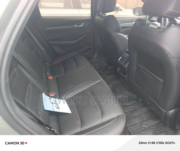 Geely Emgrand Luxury 2024 Gray