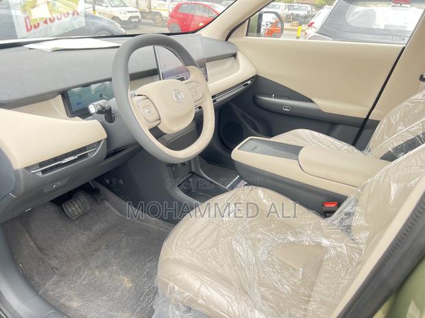 New Dongfeng EV EX1 2025 Green