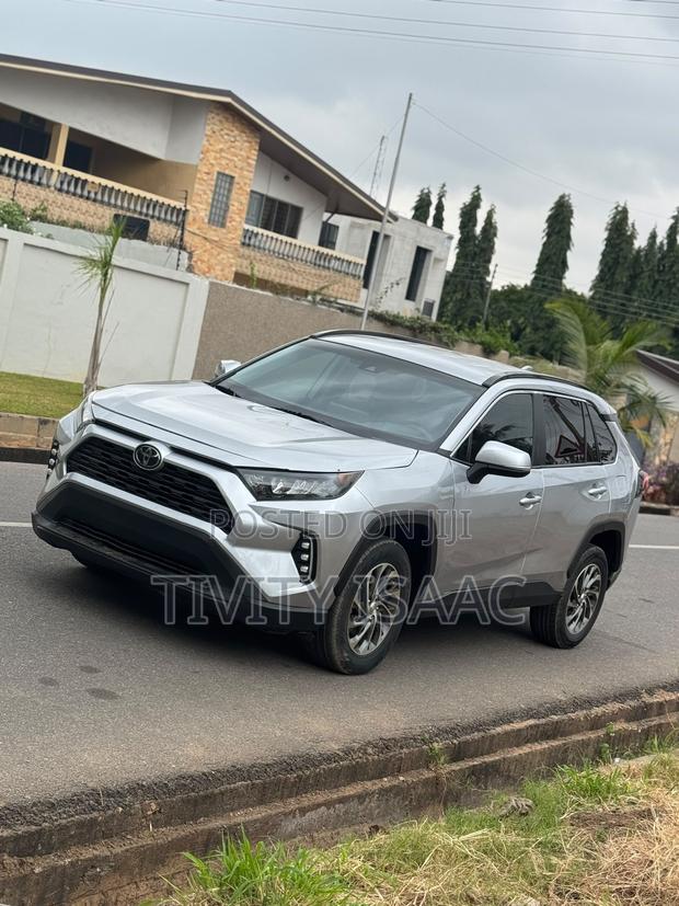 Toyota RAV4 LE AWD 2019 Silver