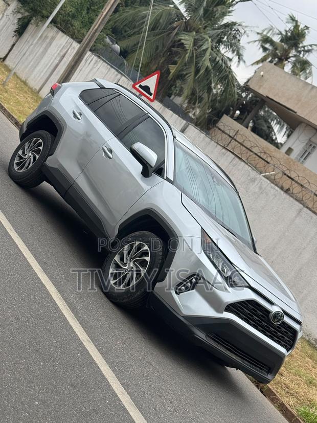 Toyota RAV4 LE AWD 2019 Silver