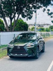Lexus NX 350 Premium AWD 2024 Green for sale