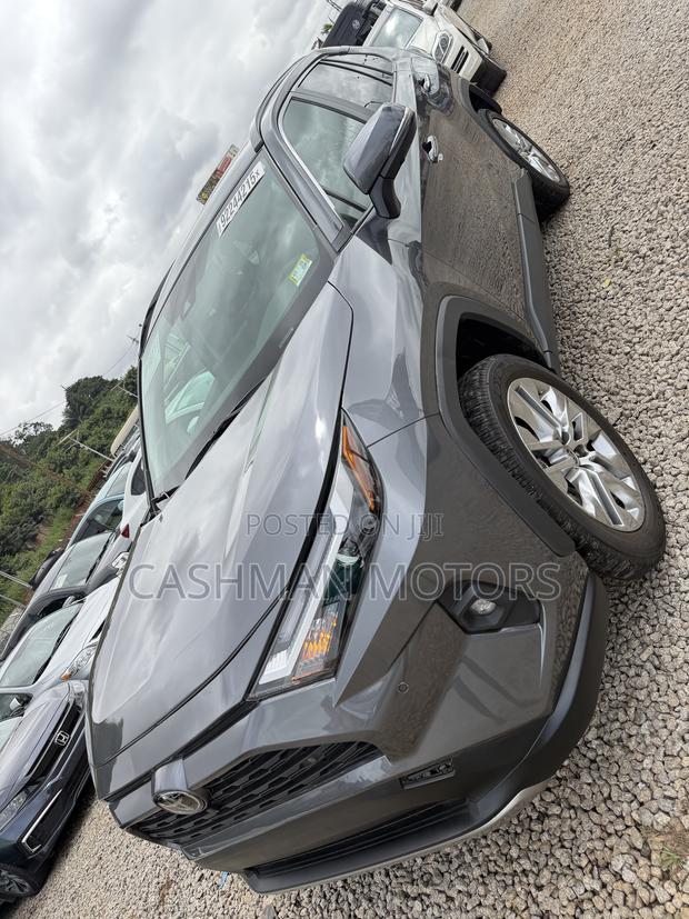 Toyota RAV4 Limited 2025 Gray
