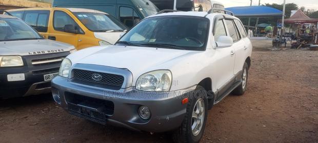 Hyundai Santa Fe 2007 White