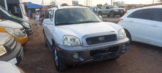 Hyundai Santa Fe 2007 White