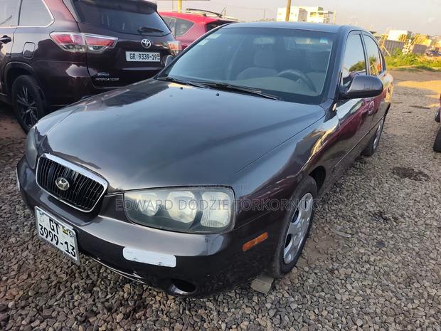 Hyundai Elantra 2004 Gray
