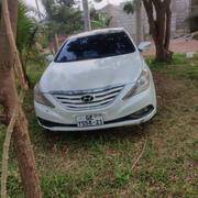 Hyundai Sonata 2013 White for sale
