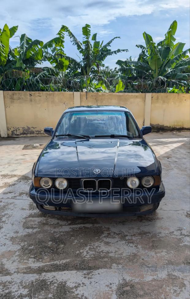BMW 525i 1995 Blue