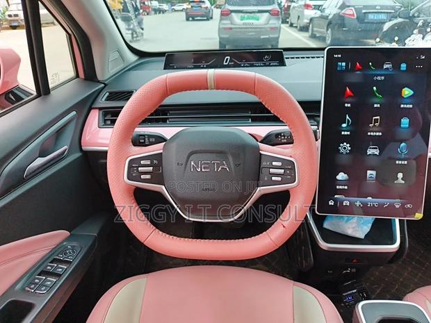 Neta V Base 2023 Pink