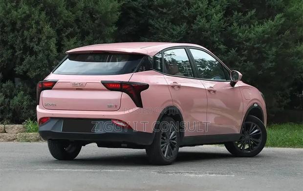 Neta V Base 2023 Pink