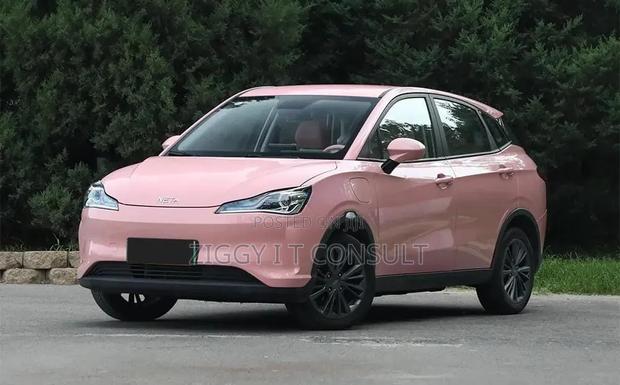 Neta V Base 2023 Pink