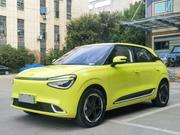 Dongfeng Nammi 01 42.3 kWh 430 Max 2024 Yellow for sale
