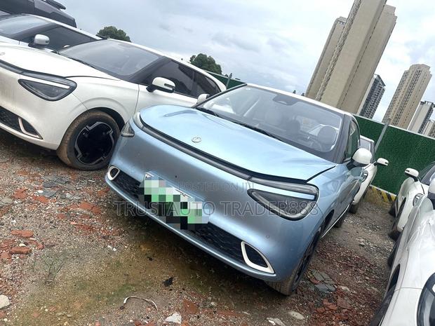 Dongfeng Nammi 01 2025 Blue