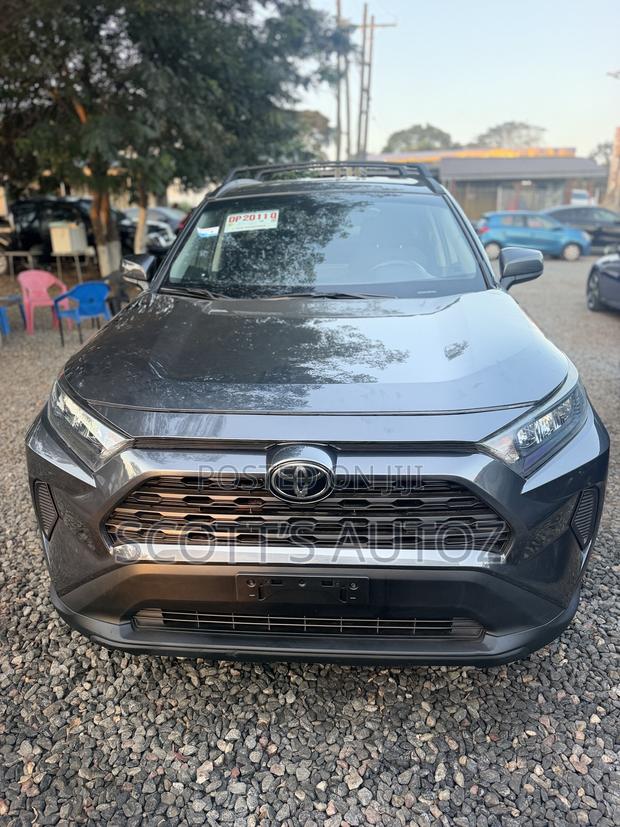 Toyota RAV4 LE AWD 2019 Gray