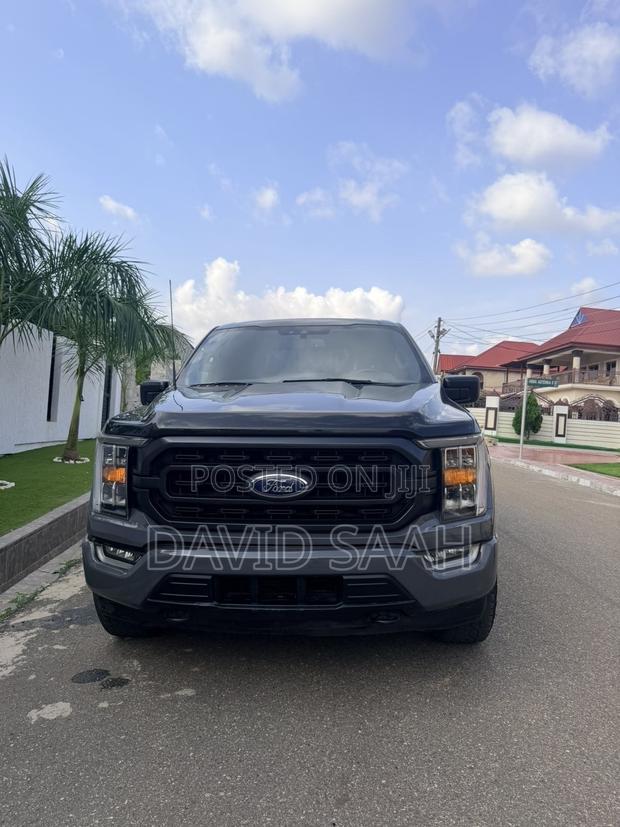 Ford F-150 XLT 2021 Gray