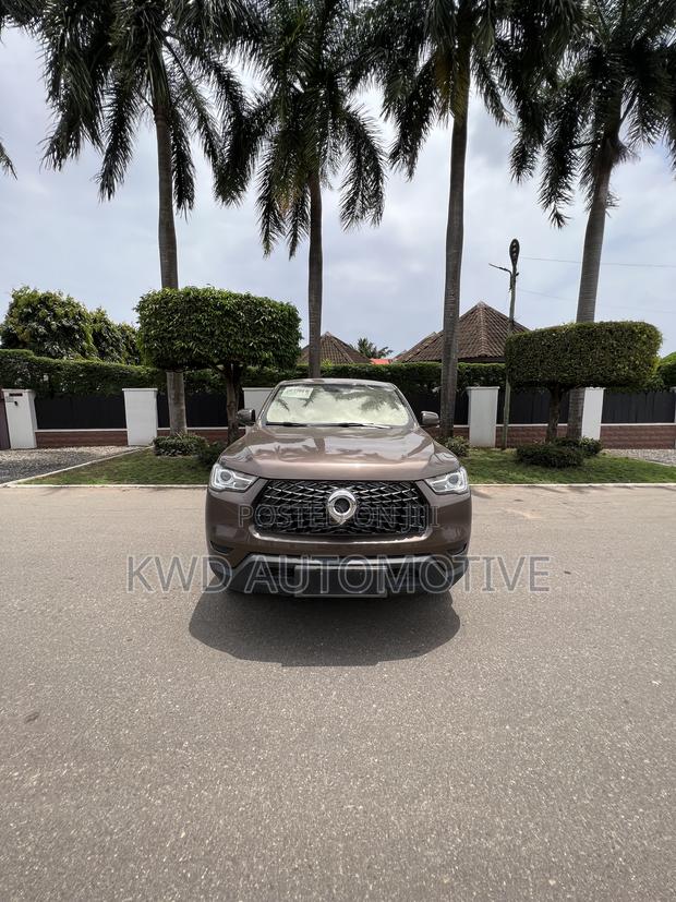 Great Wall Poer Premium 2021 Brown