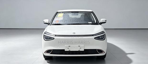 New Dongfeng Nammi 01 2025 White