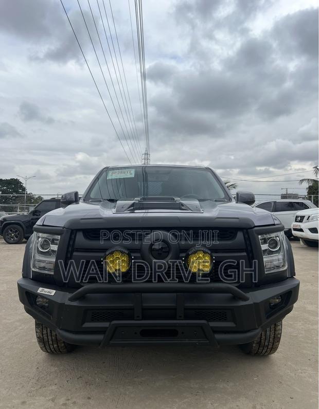 Great Wall Poer Premium 2024 Gray