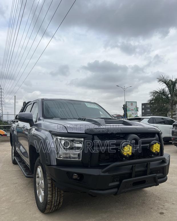 Great Wall Poer Premium 2024 Gray