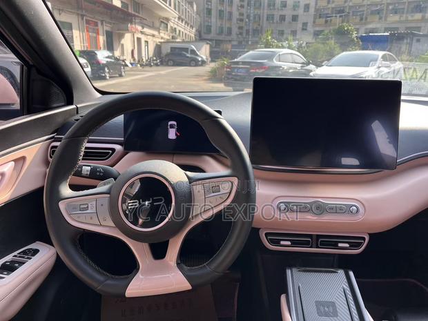 BYD Seagull 2025 Pink