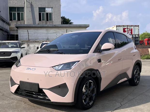 BYD Seagull 2025 Pink