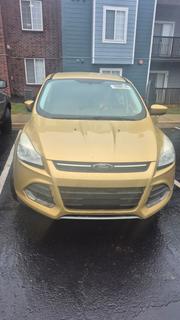 Ford Escape 2014 Gold for sale