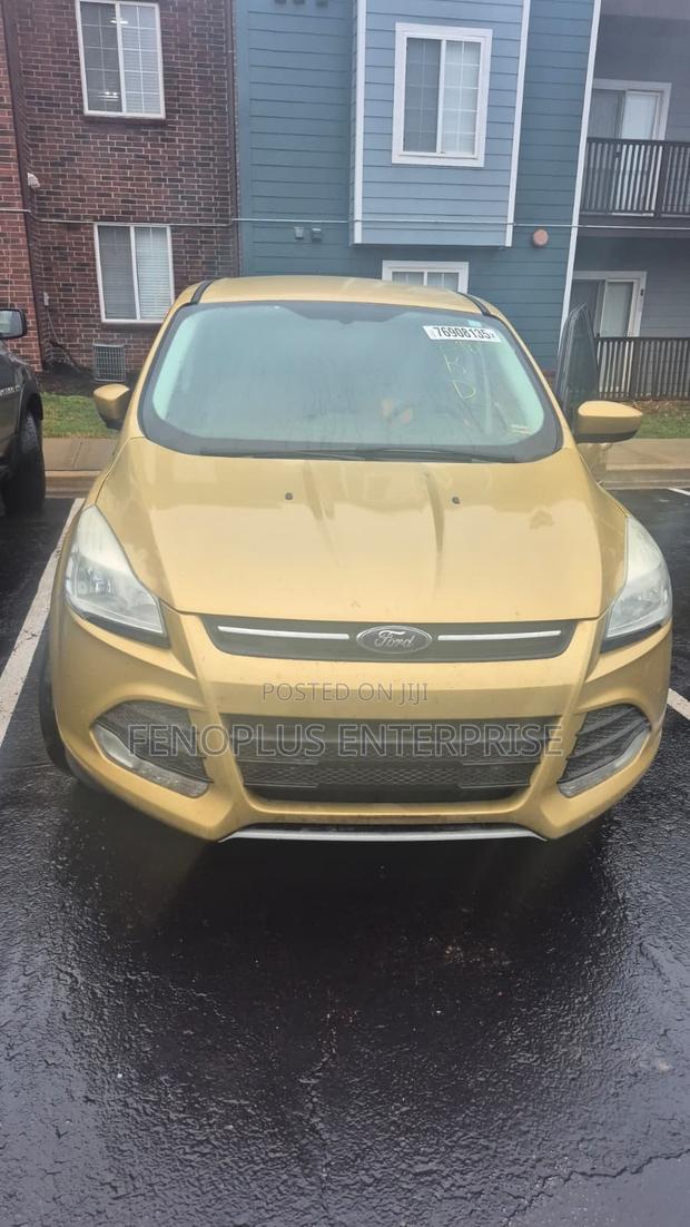 Ford Escape 2014 Gold