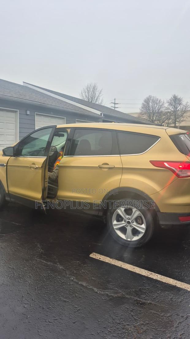 Ford Escape 2014 Gold