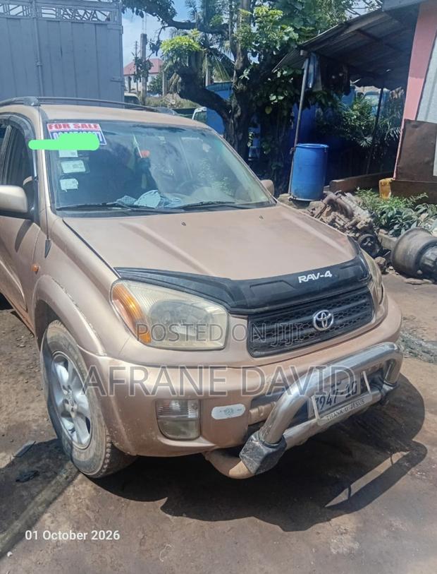 Toyota RAV4 2005 Gold