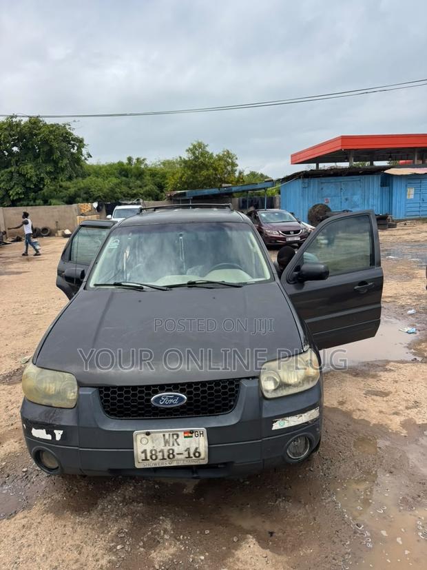 Ford Escape 2005 Gray