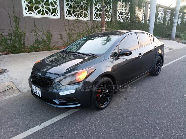 Kia Forte EX Sedan 2014 Gray