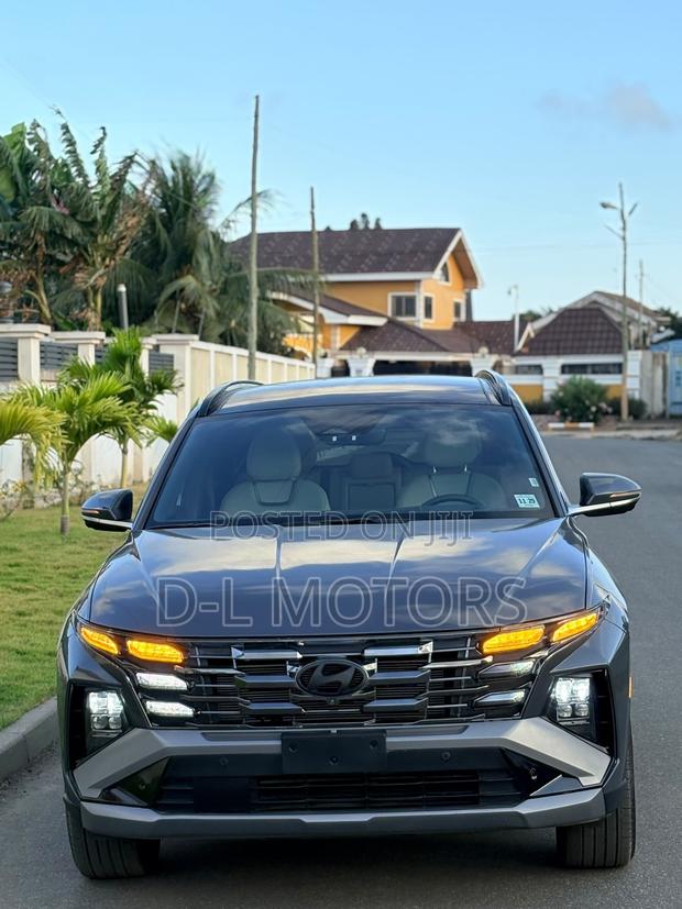 Hyundai Tucson Limited AWD 2025 Gray