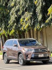 Toyota Highlander 2019 Brown for sale