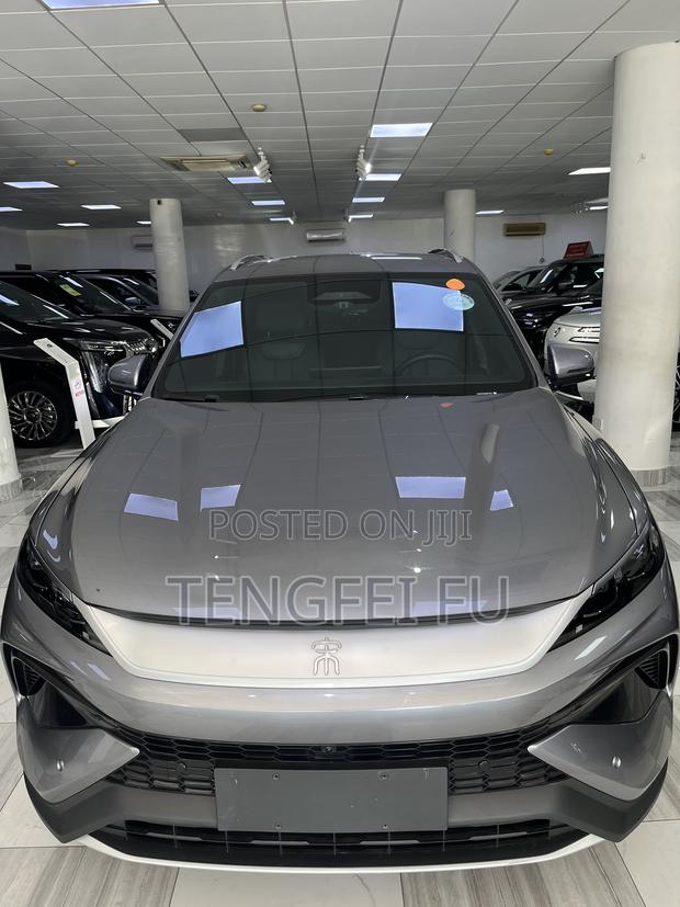 New BYD Song Pro DM-i 2025 Gray