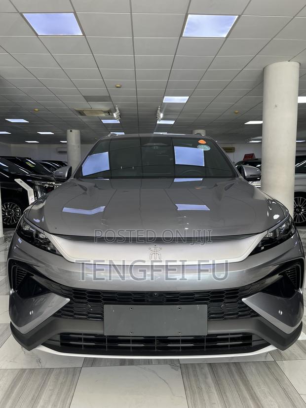 New BYD Song Pro DM-i 2025 Gray