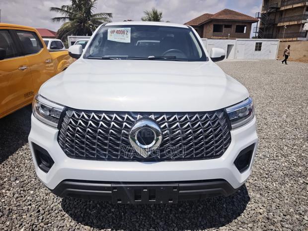 Great Wall Poer Premium 2023 White