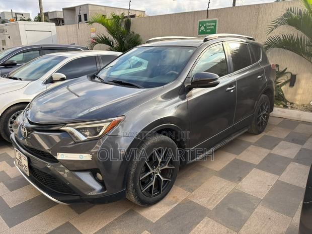 Toyota RAV4 SE AWD (2.5L 4cyl 6A) 2016 Gray