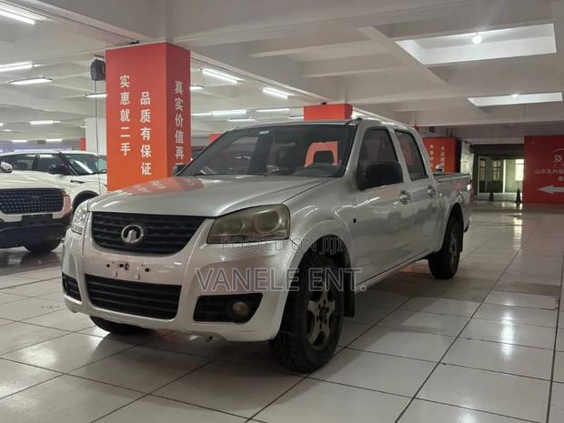 Great Wall Wingle 2016 Gray